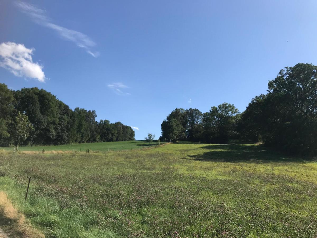 Landhotel Trakehnerhof Eppendorf  Eksteriør bilde